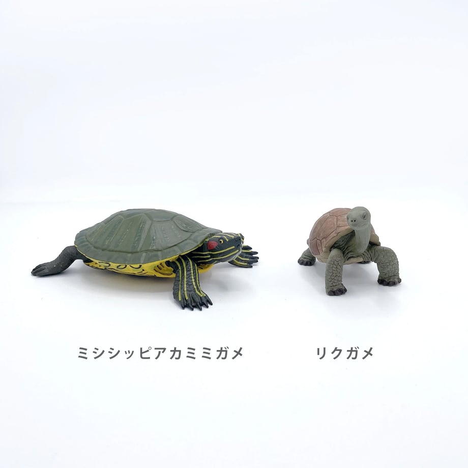 64f8153edb80ba078ab0400a