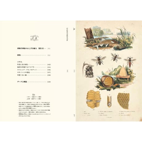 ゲランのフランス博物画集　スペシャルボックス ／ dubhe
