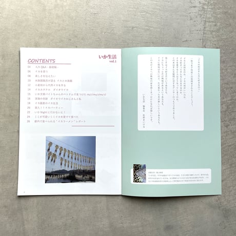 日本いか連合 ／ いか生活 vol. 1 [BOOK]