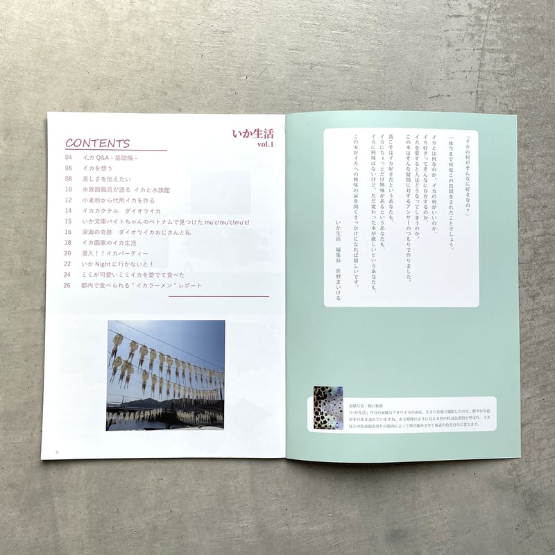 日本いか連合 ／ いか生活 vol. 1 [BOOK] | はちみせ （83）