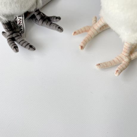 ぬいぐるみ オカメインコ [HANSA]