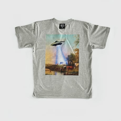 CATEGORY 未確認UFO | はちみせ （83）