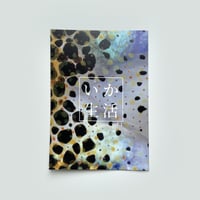 日本いか連合 ／ いか生活 vol. 1 [BOOK]