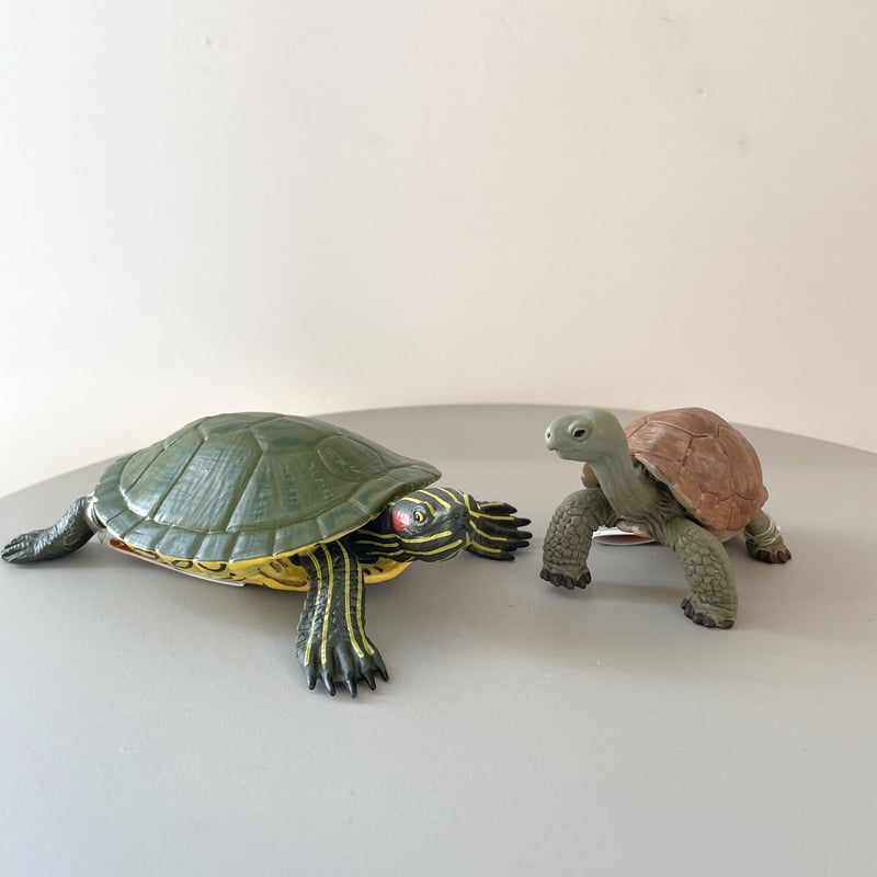 フィギュア リクガメ・ミシシッピアカミミガメ [Safari] | はち