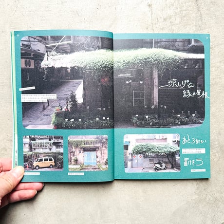 鉄窓花書房 tamazo ／ 台湾の熱帯植物を愛でる