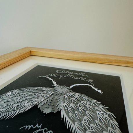 いわたまいこ ／ 切り絵 ハエ Black A