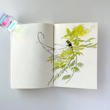 石山さやか ／ ドローイング集　Stretch Useless Drawings 2
