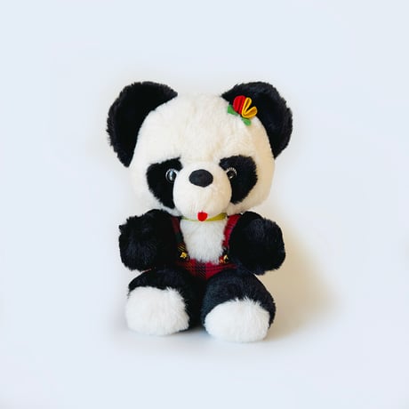 ⭐︎雪丸ページ⭐︎のびねこ新潟2種⑦ m25846164037_1.jpg?1736905858