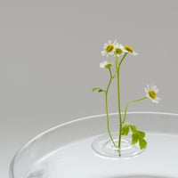 大村 卓 ／  Floating Vase  RIPPLE