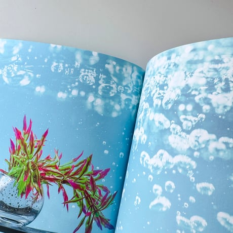 若生友見 ／ 034 Grass of Water