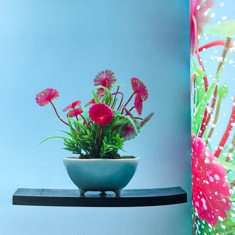 若生友見 ／ 034 Grass of Water