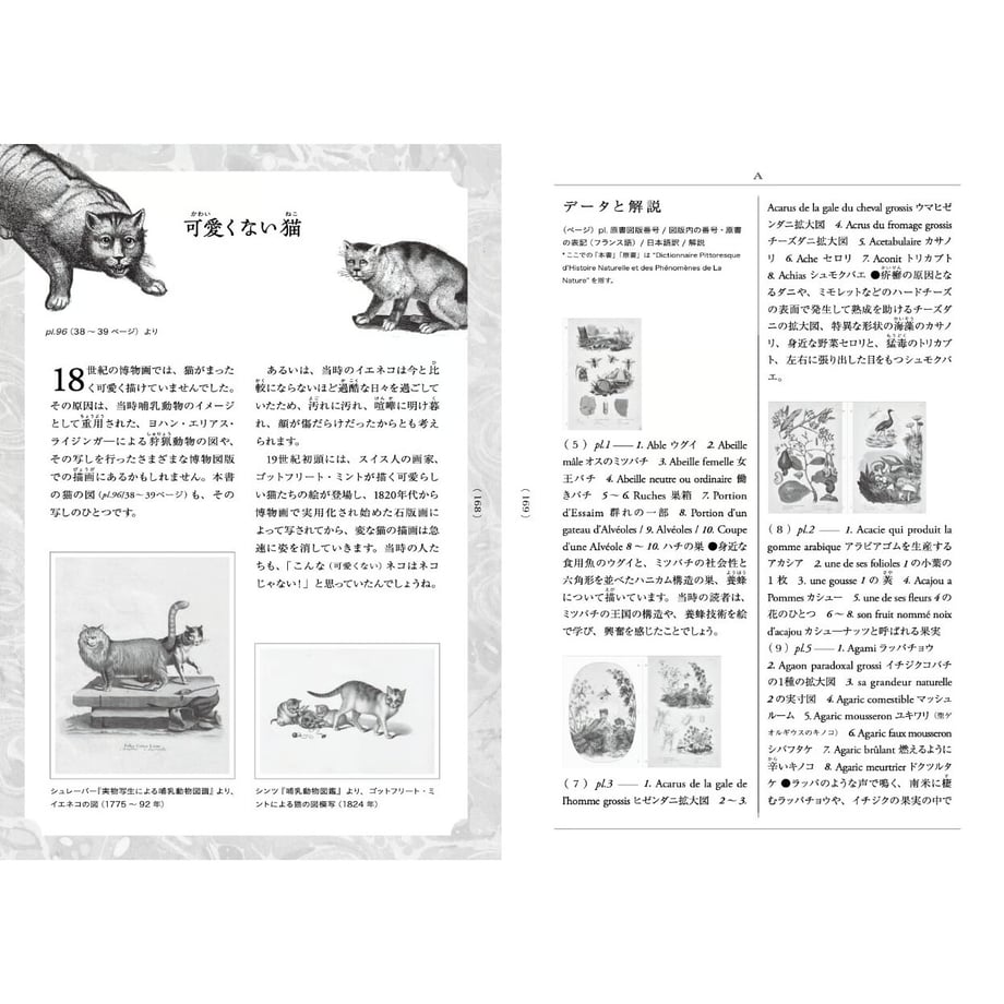 6a8e838269abcc11a1662e09