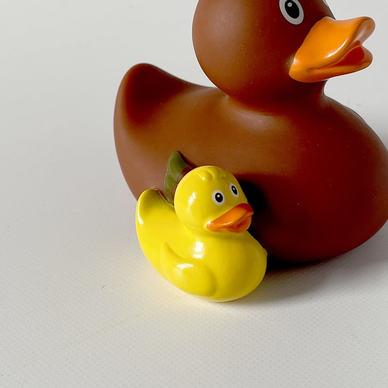 Lilalu Duck |親子 | はちみせ (83) Lilalu Duck |親子 | はちみせ (83)