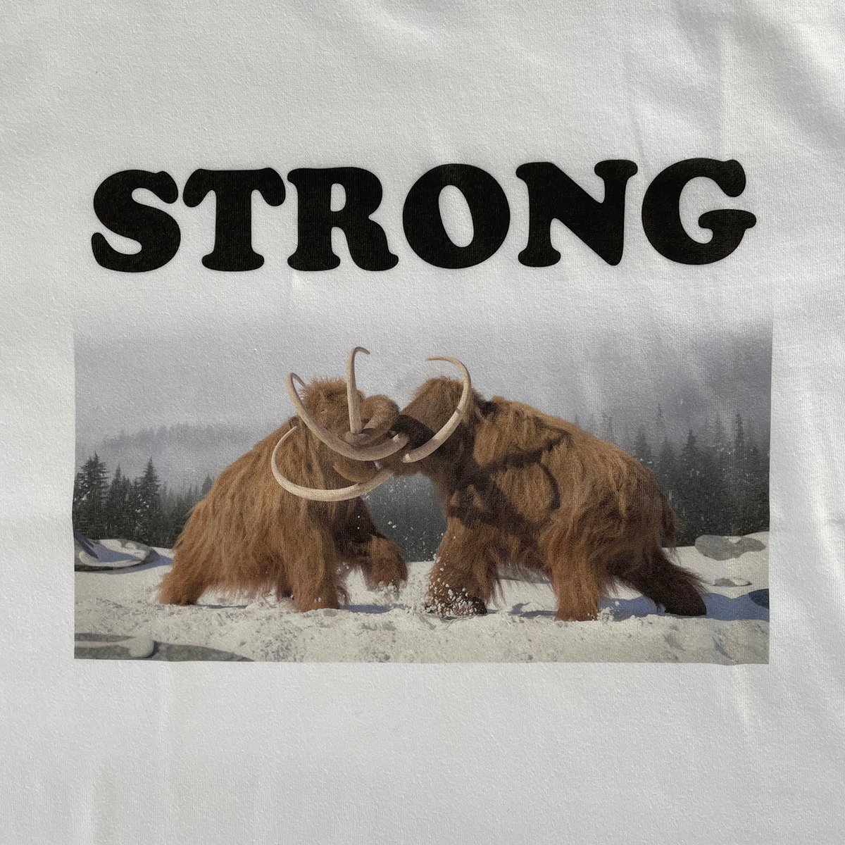 83 original ／ STRONG Tシャツ ｜ホワイト | はちみせ （83）