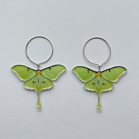 Moth  蛾ピアス