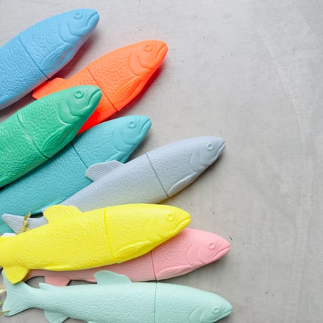 Fish Case