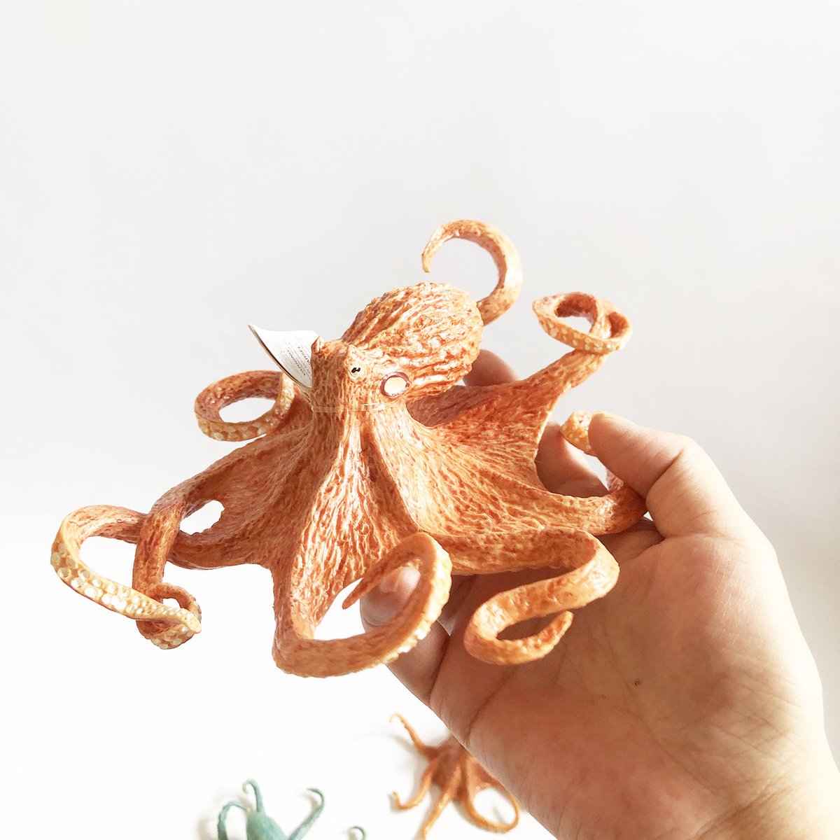 置物 pacific ocean Giant Pacific Octopus figure [Safari] | はちみせ （83）