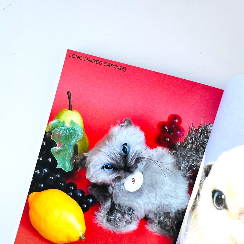 限定出品‼️人気作家様　aiueaoui様　ぬいぐるみ作家 gyunyuya ／ ART BOOK（2) | はちみせ （83）