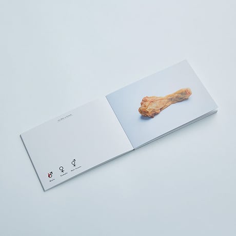 飯沢未央 ／ the Male or Female [book set]