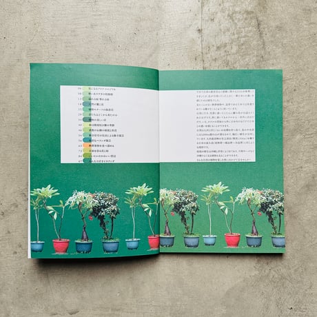 鉄窓花書房 tamazo ／ 台湾の熱帯植物を愛でる