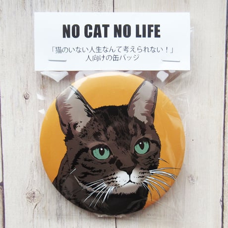 キジトラ猫 | STORES