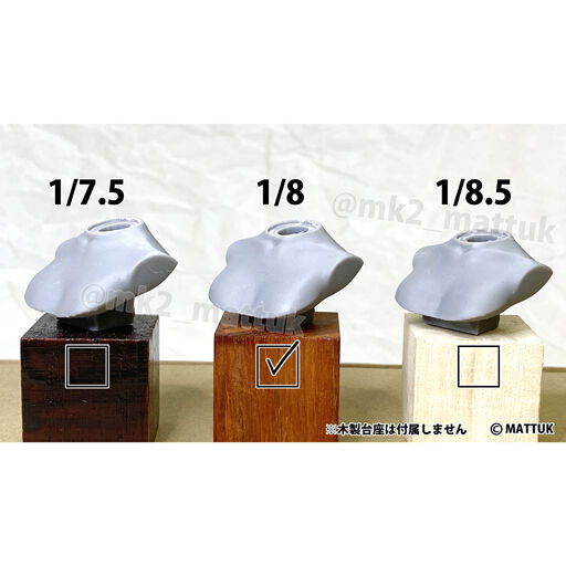 1/8-TORSO-A | MK2.STORES