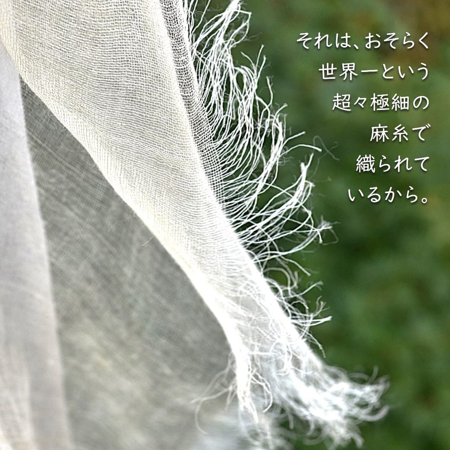 66aa53bab3910e0a897464f6