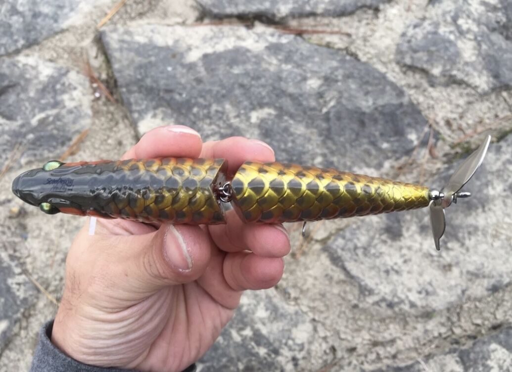 AROWANA（アロワナ） | soradesign