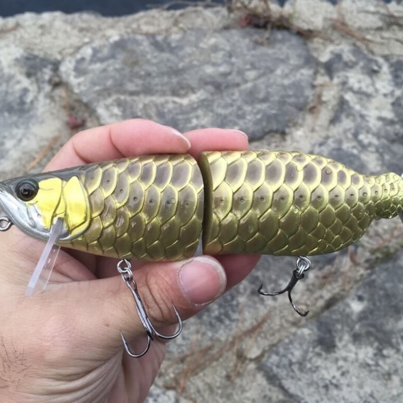 AROWANA（アロワナ） | soradesign