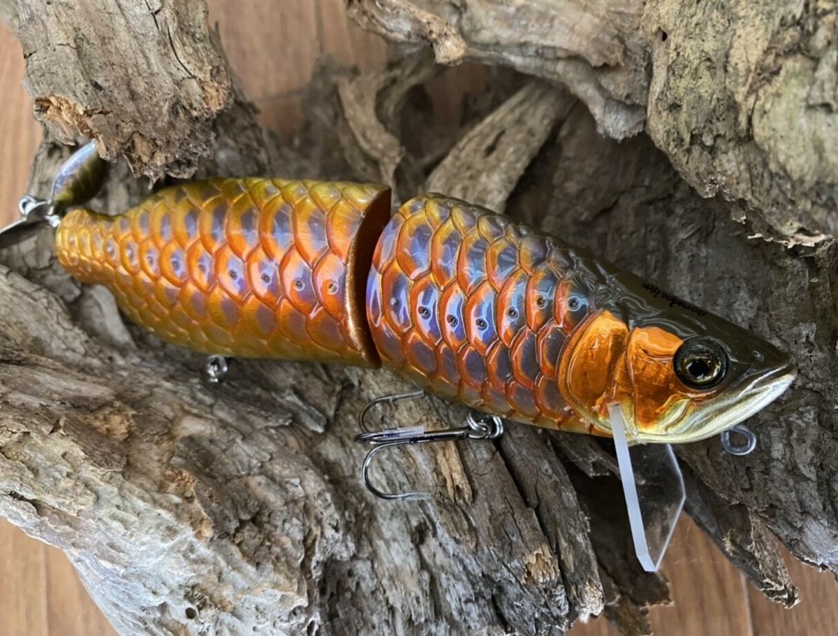 AROWANIA-アロワナグラフィック fit=scale-down,w=1200