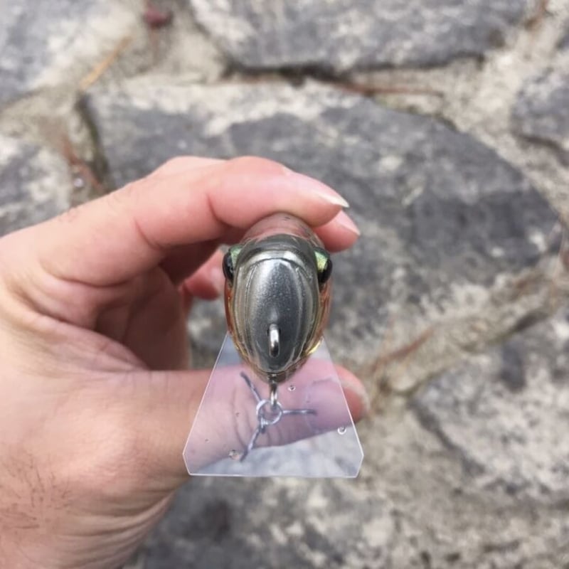 AROWANA（アロワナ） | soradesign