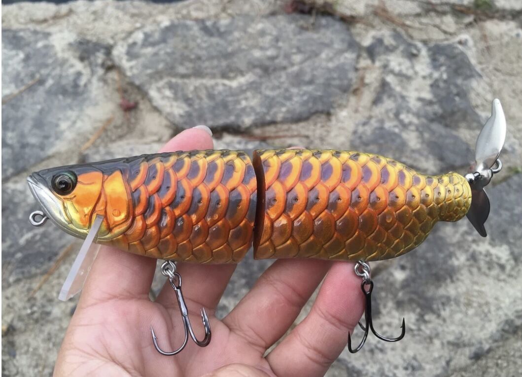 AROWANA（アロワナ） | soradesign