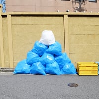 富士山ゴミ袋（10枚入）