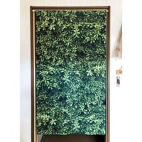 のれん　プラントウォール 85cmx丈150cm 50036