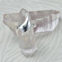 リング　★ネイチャーシリーズ