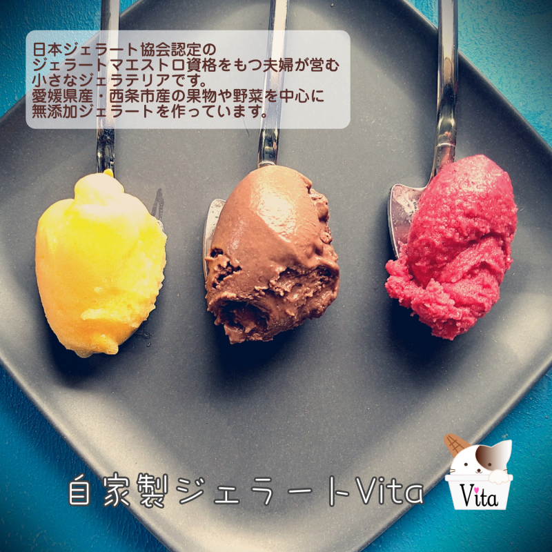自家製ジェラートVita