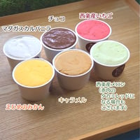 砂糖・着色料・安定剤不使用　ジェラート１２個セット