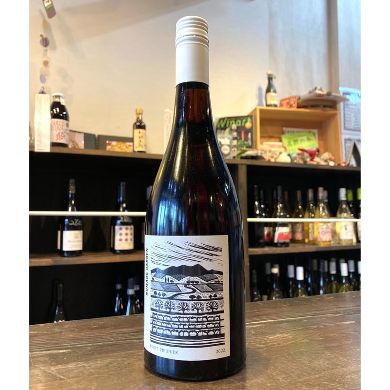 キュラソ、ノンマルト ノヒー sic-kikai_a-70867