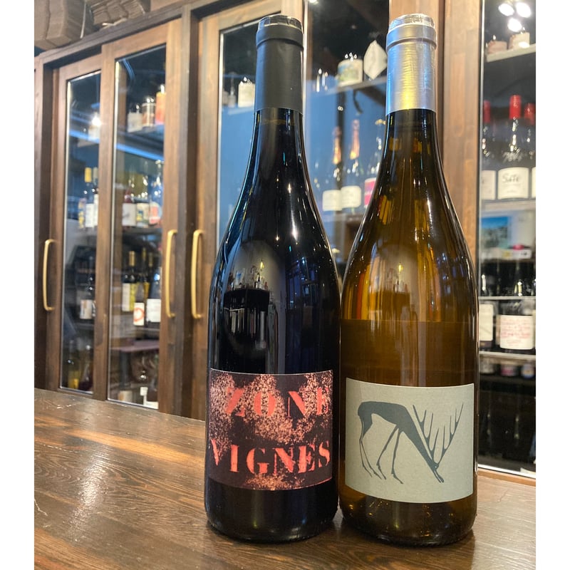 アノリウム・ブラン2024 /白 / ドメーヌ・デ・トルイエール / フランス