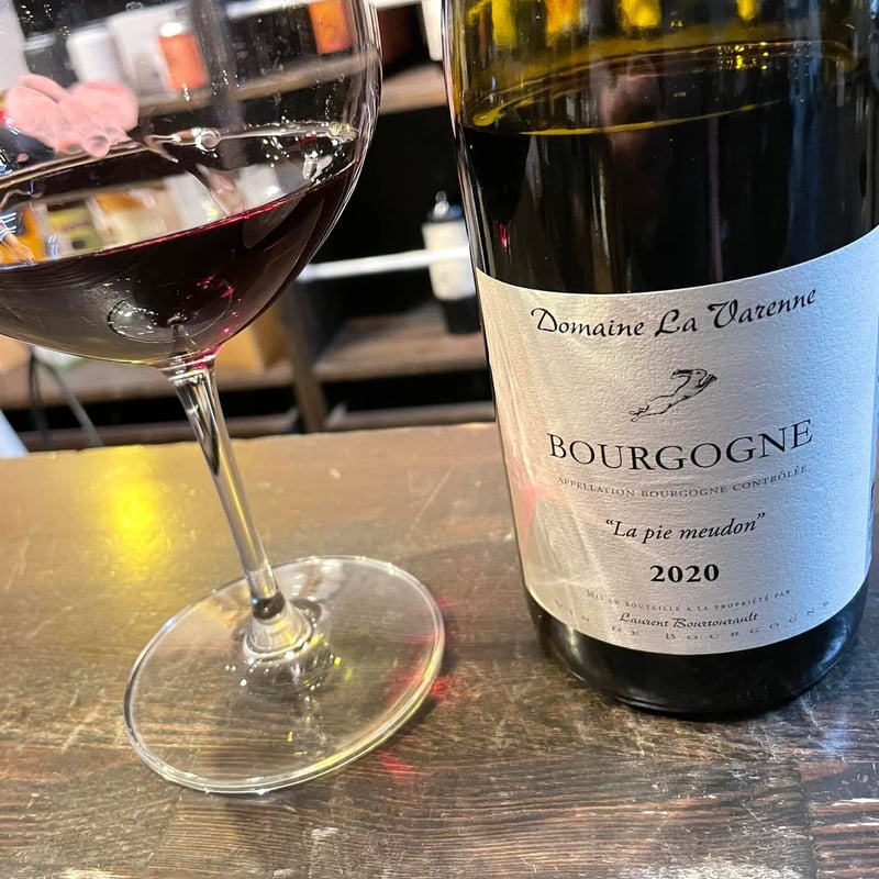 ブルゴーニュ ラ・ピエ・ムードン2020 AOC Bourgogne Rouge /赤 ブルゴーニュ ラ・ピエ・ムードン2020 AOC Bourgogne Rouge /赤