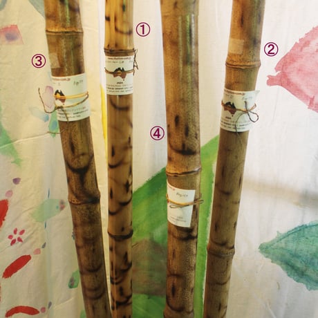 バンブーディジュリドゥ・プレーンBag付き＝ Bamboo Didgeridoo Plain with Bag