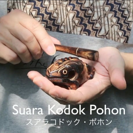 スアラ・コドック・プホンSサイズ ＝ Suara Kodok Pohon