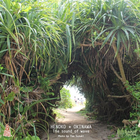 MP3data - 辺野古の波音Henoko / Okinawa, The sound of wave. Full moon