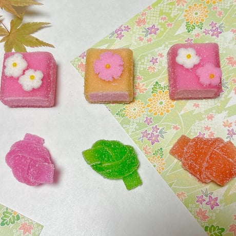 京菓子　半生菓子　おまかせ色々　詰め合わせ箱　（中箱1個） 内容は季節によって異なります