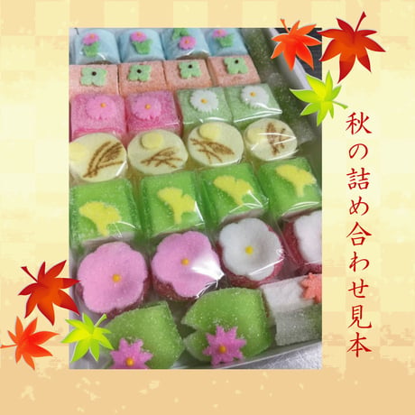 京菓子　半生菓子　おまかせ色々　詰め合わせ箱（小箱1個）内容は季節によって異なります