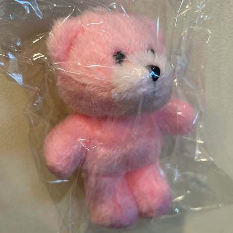 little sunny bear key chain