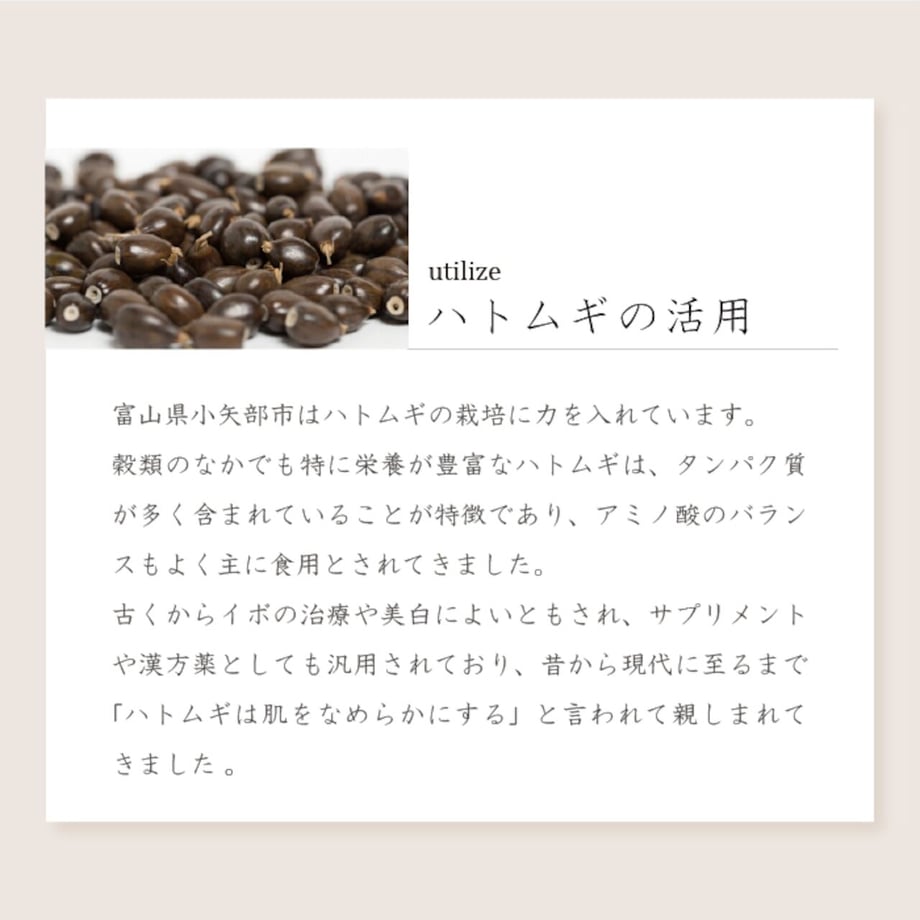 6531fcc9d49326002a6905ed