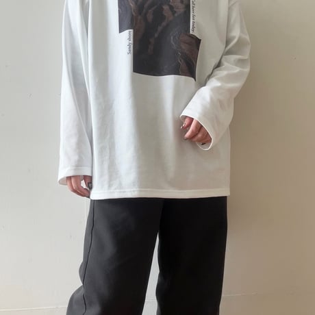 フォトロンT