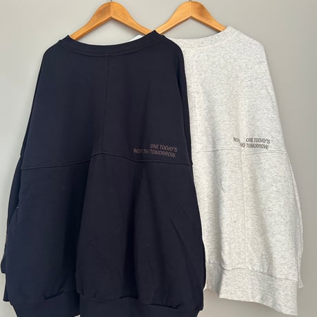 ドルマンボリューム袖スウェット