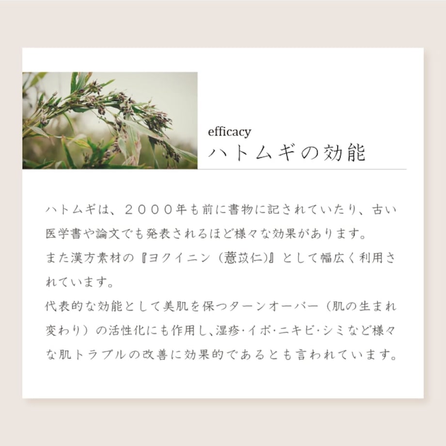 6531fcc9d49326002a6905ed